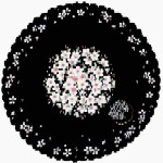 刺繍スカラー大判まるハンカチ：桜友禅　￥1,500（税抜）